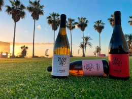 Bodegas Linaje del Pago - El Sauzal