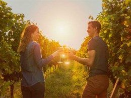 Bodegas Linaje del Pago - El Sauzal