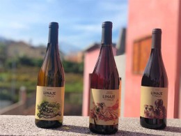 Bodegas Linaje del Pago - El Sauzal