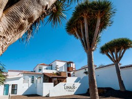 Bodegas Linaje del Pago - El Sauzal