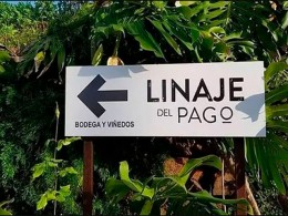 Bodegas Linaje del Pago - El Sauzal