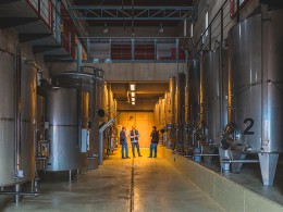 Bodegas Linaje del Pago - El Sauzal