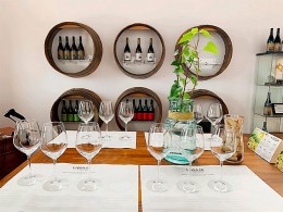 Bodegas Linaje del Pago - El Sauzal