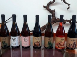 Bodegas Linaje del Pago - El Sauzal