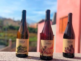 Bodegas Linaje del Pago - El Sauzal