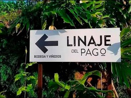 Bodegas Linaje del Pago - El Sauzal