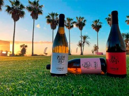 Bodegas Linaje del Pago - El Sauzal