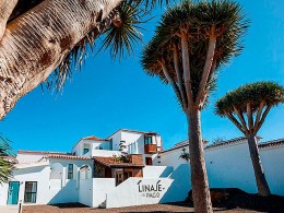 Bodegas Linaje del Pago - El Sauzal