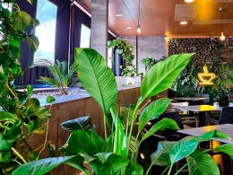 La Media Luna - Los Cristianos