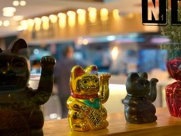 El Gato Negro - Santa Cruz