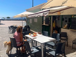 Dando La Lata - Puertito de Güímar 