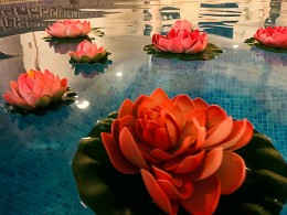 Spa Nocturno con cava y bombones ¡Noches de spa!