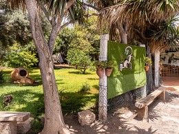 El Perenquén Glotón - Güímar