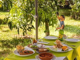 El Perenquén Glotón - Güímar