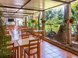 El Perenquén Glotón - Güímar