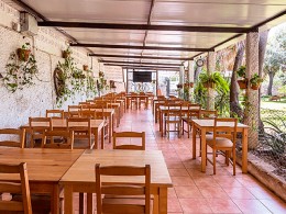 El Perenquén Glotón - Güímar