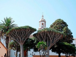 Hotel Rural Bentor - Los Realejos