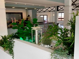 Recuerdos Café - El Sauzal