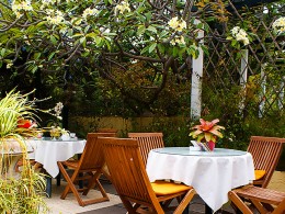 Café Orquídea - Puerto de la Cruz