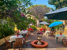 Café Orquídea - Puerto de la Cruz