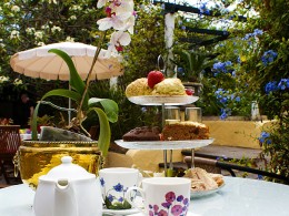 Café Orquídea - Puerto de la Cruz