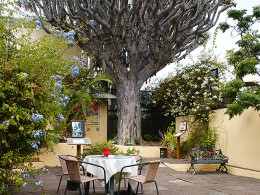 Café Orquídea - Puerto de la Cruz