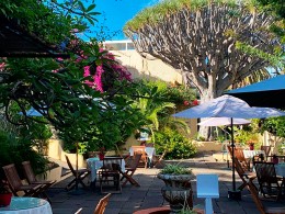 Café Orquídea - Puerto de la Cruz