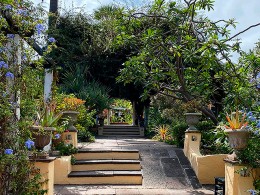 Café Orquídea - Puerto de la Cruz