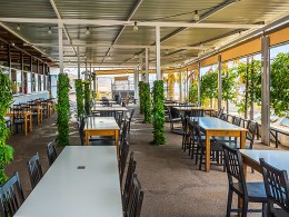 La Patrona - Candelaria