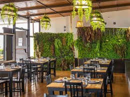 La Patrona - Candelaria