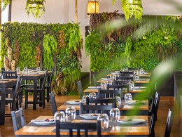 La Patrona - Candelaria