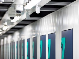 Masquetrasteros - Santa Cruz