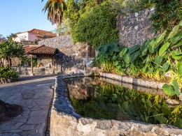 Cafetería el Delei-té - El Sauzal