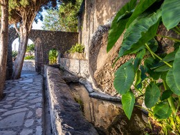 Cafetería el Delei-té - El Sauzal