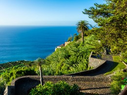 Cafetería el Delei-té - El Sauzal