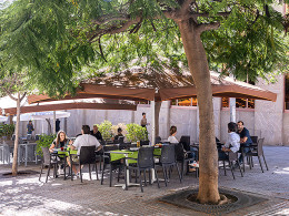 Znak's - Sabores de Asia - Santa Cruz