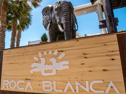 DayPass luxury para 2 con menú + bebidas en Roca Blanca Beach Club