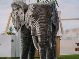 DayPass luxury para 2 con menú + bebidas en Roca Blanca Beach Club