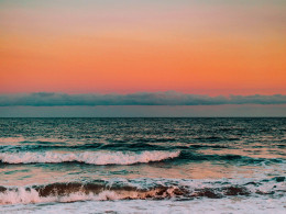 DayPass luxury para 2 con menú + bebidas en Roca Blanca Beach Club