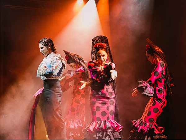 Olé Flamenco: Entrada para espectáculo + 5 euros de crédito BonosVip
