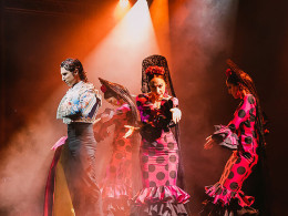 Olé Flamenco: Entrada para espectáculo + 5 euros de crédito BonosVip