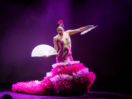 Olé Flamenco Show - Costa Adeje