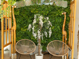 Mahaya Sunset Club - Costa Adeje