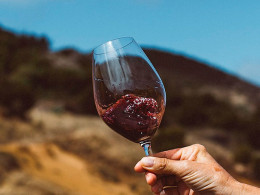 Bodegas Tajinaste - La Orotava