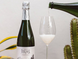 Bodegas Tajinaste - La Orotava