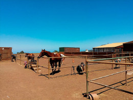 Centro Hípico Las Riendas - La Laguna