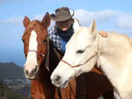 Centro Hípico Las Riendas - La Laguna