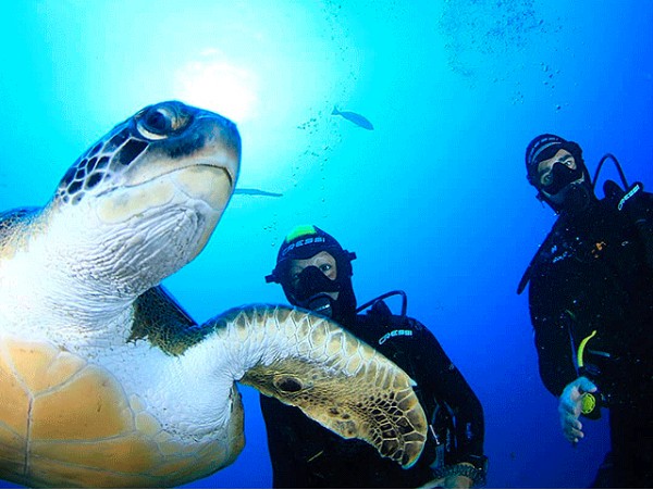 Bautismo de buceo con reportaje fotográfico ¡Adéntrate en el gran azul!