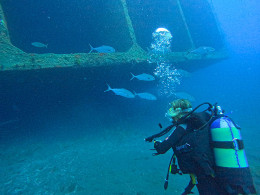 Bautismo de buceo con reportaje fotográfico en San Andrés