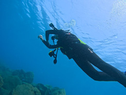 Squatina Sub - San Andrés